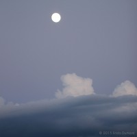 /album/galerie-de-photos-galerie-photos/frida-dumont-img-3257-jpg/